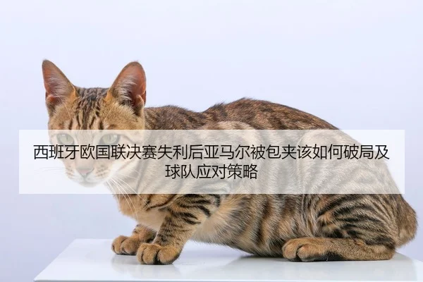 西班牙欧国联决赛失利后亚马尔被包夹该如何破局及球队应对策略